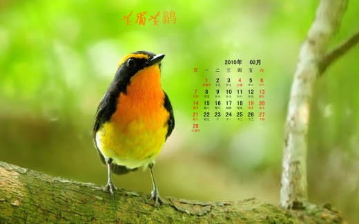 484621 (a): :1920x1200